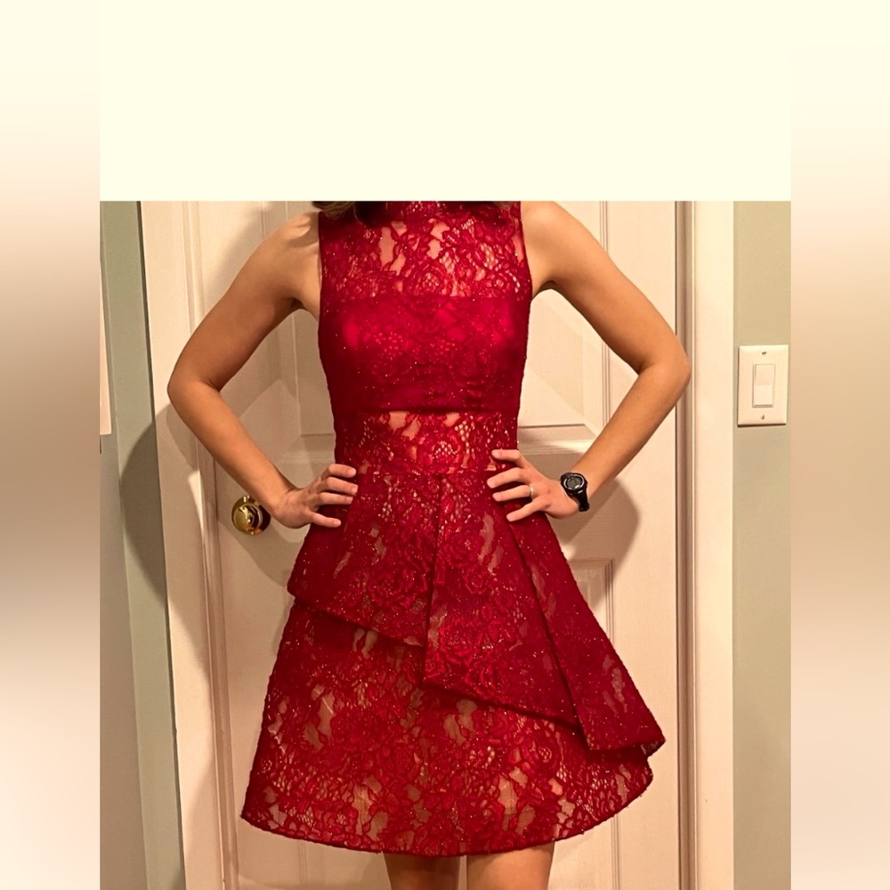 Tarik Ediz Sleeveless Lace Ruffled Dress